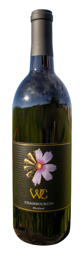 Chambourcin Wine Bottle