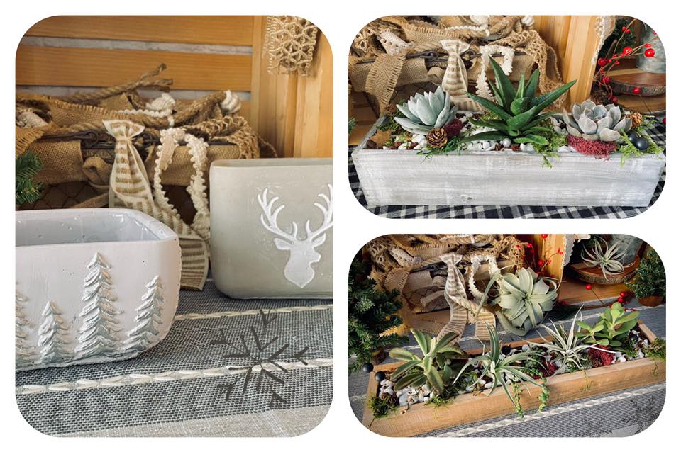 Picture of succulents in planters in a holiday theme.