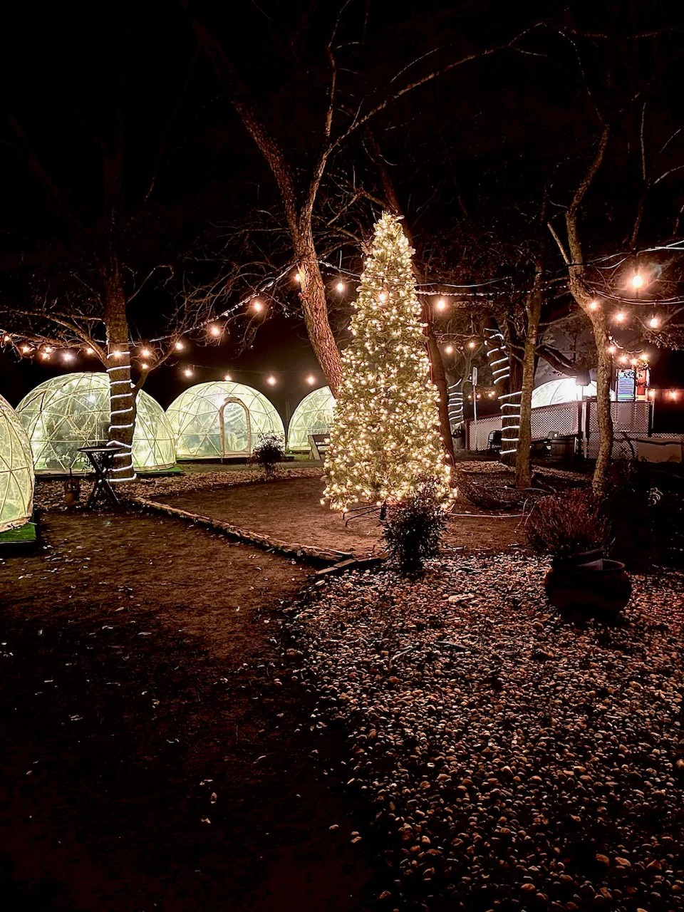 Igloo village and christmas tree