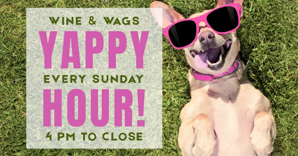 Wine & Wags Yappy Hour at Windmill Creek Winery with dog wearing sunglasses